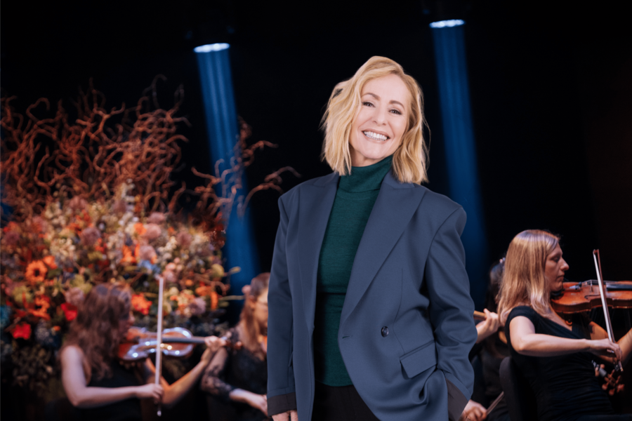 KAMERATA ZUID & GRIJS GEDRAAID